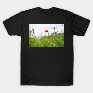 The poppy of Saint-Mathieu T-Shirt